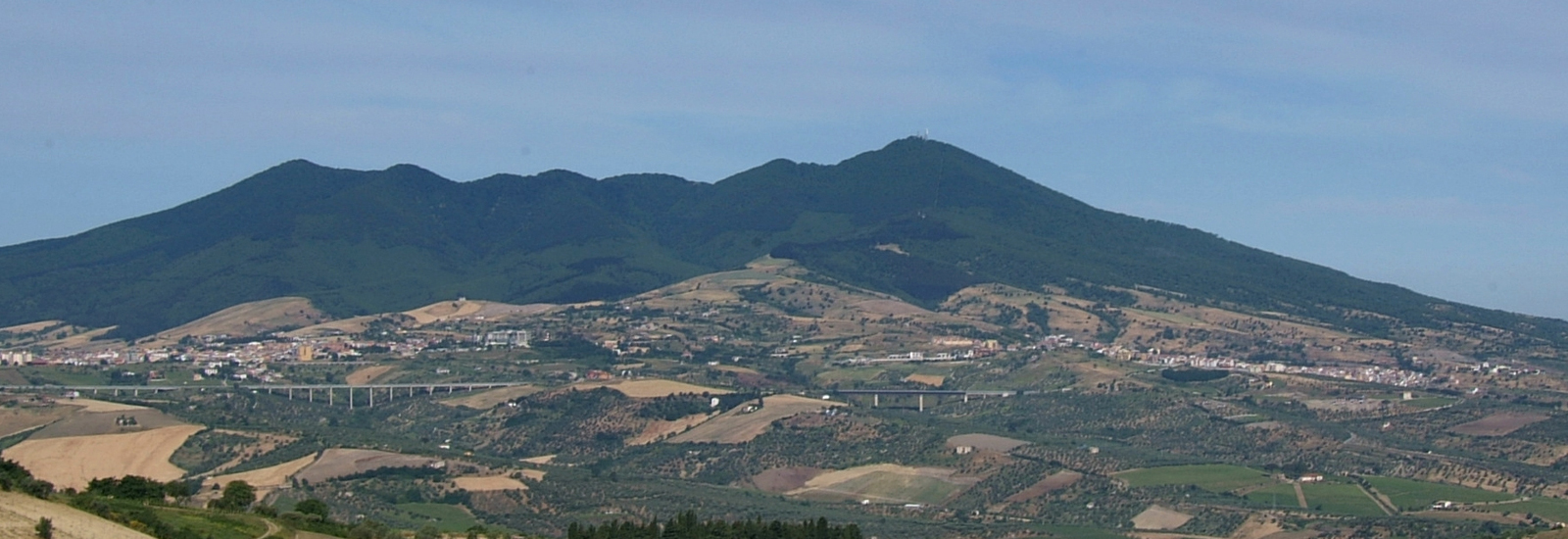 Olio e Olive - Slide 1